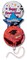 Jolee's Boutique By You Dimensional Stickers - Graduation Balloons, 1pc